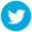Twitter Icon